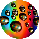 Ein Stein profile picture